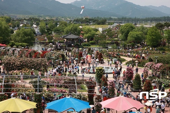 곡성군 ‘곡성세계장미축제’ 오는 19일 팡파르 - 뉴스 썸네일 이미지