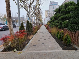 [NSP PHOTO]서울시 양천구, 갈산·양원초 일대 ‘자녀안심 그린 숲’ 조성 완료