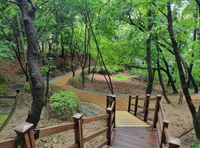 [NSP PHOTO]용인시, 특교금 3억 투입 ‘대지산근린공원 산책로’ 새 단장