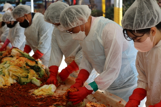 안산도시공사의 임직원들이 직접 재배한 배추로 김장김치를 담그고 있다. (사진 = 안산도시공사)