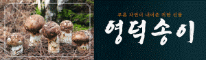[NSPAD]영덕군