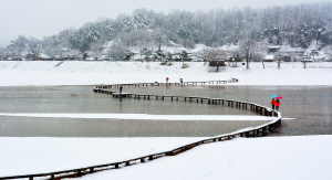 [NSPAD]영주시의회