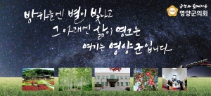 [NSPAD]영양군의회