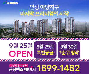 [NSPAD]금성백조
