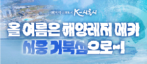 [NSPAD]시흥시