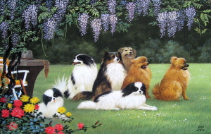 NSP통신-북한 보석화 애완용 개들