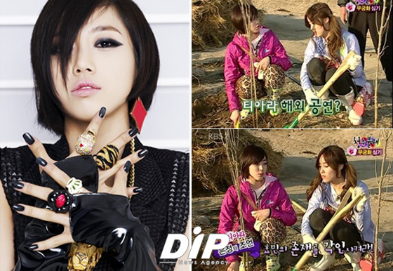 NSP통신-<사진=코어콘텐츠미디어&청춘불패 방송화면 캡쳐>