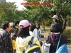 [NSP PHOTO]서울시 주요공원 12개소 문화행사·체험행사 연다