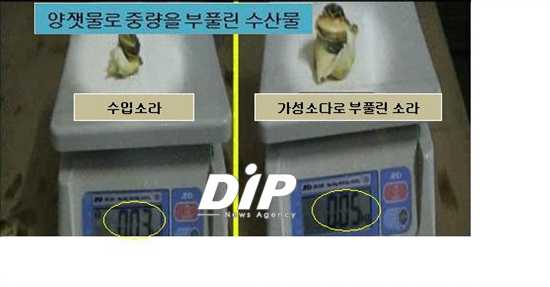 NSP통신