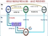 [NSP PHOTO]서울시,  하도급 대금지급 확인시스템 구축…미지급·지연지급 해결