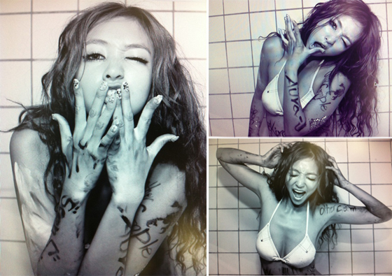 NSP통신-<사진=진재영 트위터>