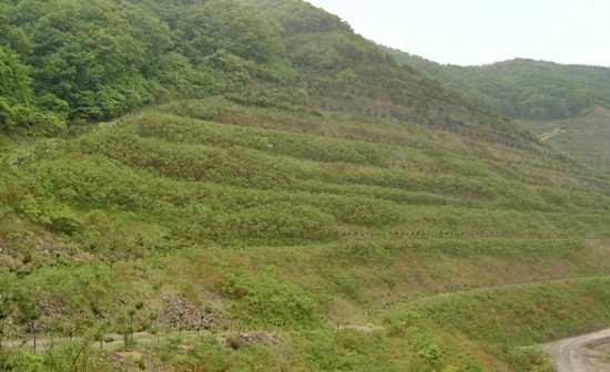 NSP통신-동명산업 채석장 복원모습. <사진제공=울산시>