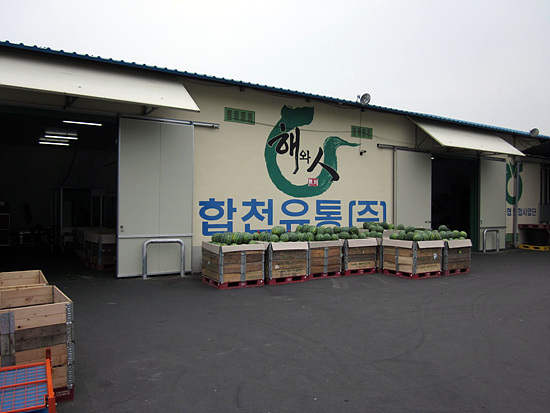 NSP통신-농림수산식품부로부터 2년 연속 1위를 차지한 합천유통 전경.<사진제공=합천군>