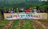 [NSP PHOTO][지방행정/정당]울산선암동, 사랑의 감자 수확 나누기