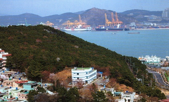 NSP통신-센터부지. <사진제공=부산대병원>