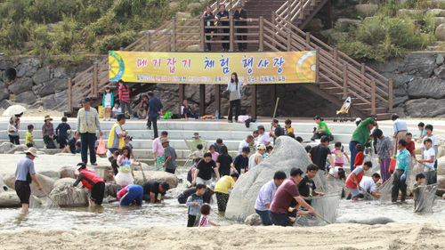 NSP통신-지난 25일 축제 참석자들이 상림위천에서 메기잡기 행사에 참여하고 있다.