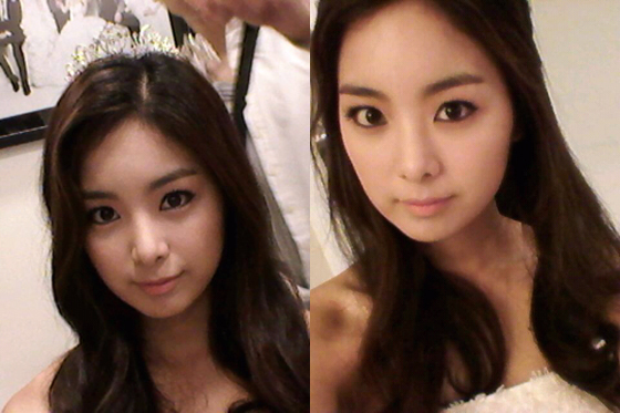 NSP통신- (토비스미디어)