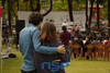 [NSP PHOTO]UN평화대축전 D+1, 젊음의 평화거리축제 펼쳐져