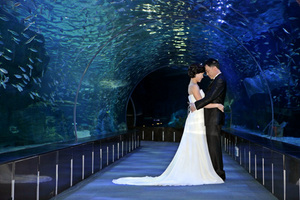 [NSP PHOTO]부산아쿠아리움, 물고기와함께 결혼10주년 웨딩촬영