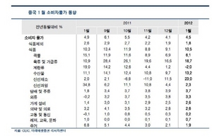 [NSP PHOTO]중국 2월 소비자물가 상승률 4% 내외↓…3월 이후 3% 인플레