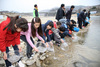 [NSP PHOTO]산청군, 경호강서 은어 치어 16만5000미 방류