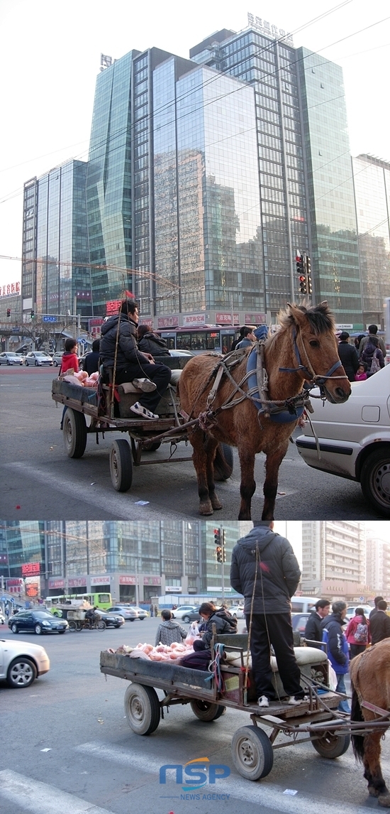 NSP통신-한 부부가 베이징시 차오양구 시내에 마차를 끌고와 오렌지를 팔고있다