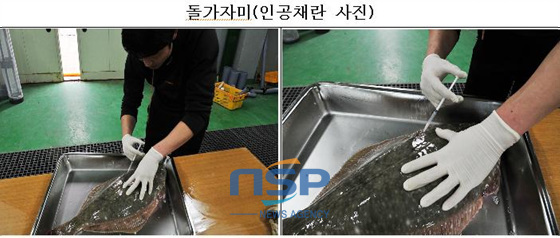 NSP통신- (부산시 자료제공)