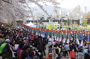 [NSP PHOTO]부산 연제한마당축제 13일 벚꽃 만개 온천천서 개막