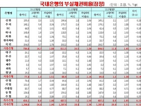 [NSP PHOTO]금감원, 하반기 국내은행 부실채권 감독방향 제시…엄정한 건전성분류 기준 적용 등