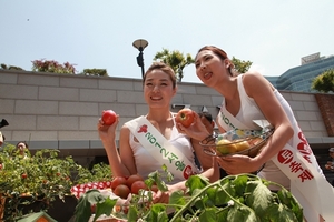 [NSP PHOTO]농협, 2012서울토마토축제 개최…상품전시회·기네스북 도전 진행