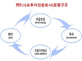 [NSP PHOTO]금감원, PE산업 성장추세 유지…PEF 181사  25조9000억원 투자