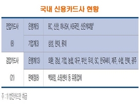 [NSP PHOTO]한은 결제연구팀, 신용카드사 가맹점수수료 결제시스템 개방이 마땅