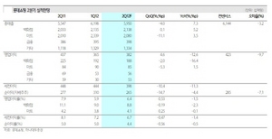 [NSP PHOTO]롯데쇼핑, 2분기 실적 부진 전망…3분기 회복 기대