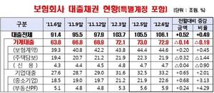 [NSP PHOTO]보험회사 대출채권 잔액, 6월말 기준 106조 1000억원…전월대비 0.49% 5200억원↑