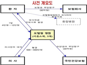 [NSP PHOTO]금감원, 보험사기 모텔병원 적발…병원관계자 3명 구속 15명 불구속 환자 230명 입건 등