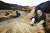 [NSP PHOTO]경남 하동 최참판댁 토지마을 겨울맞이 한창