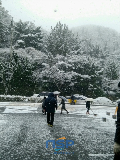 NSP통신-7일 오전 11시부터 내리기 시작한 눈이 점차 굵은 함박눈으로 변하고 있다. (도남선 기자)