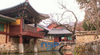 [NSP PHOTO][NSP TV]韓国代表の生態都市觀光, 2013 順天湾国際庭園博覧会 1000年の歴史と自然の威厳を醸す松広寺と仙岩寺(5)