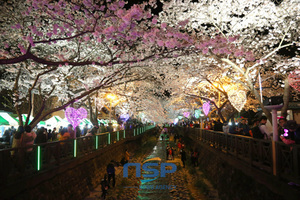 [NSP NEWS Image]Lễ hội tiêu biểu Hàn Quốc Khai mạc lễ hội hoa anh đào Jinhae Gunhangje lần thứ 51