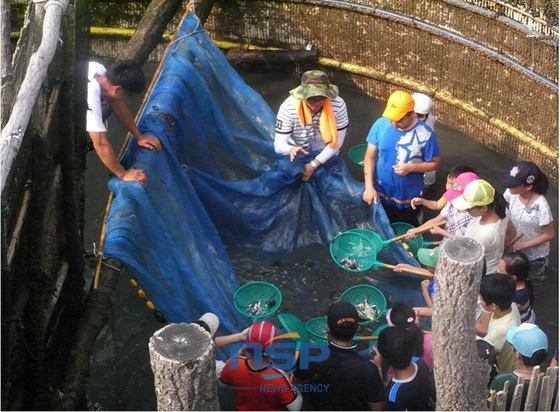 NSP통신-죽방렴 체험에 참여한 아이들이 직접 고기를 잡아 올리고 있다. (남해군 제공)