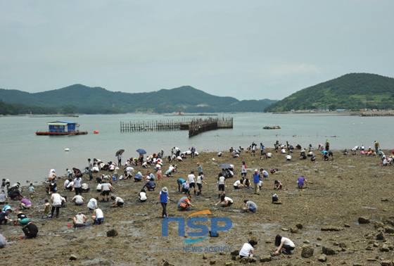 NSP통신-경남 남해군 갯벌체험 모습. (남해군 제공)