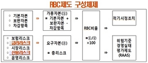 [NSP PHOTO]보험사 지급여력비율 산정기준 일부완화