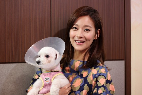 NSP통신-/NSP통신=조용호 기자 (사진=ANFFIS 제공)