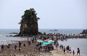 [NSP PHOTO]태안반도, 주말 휴양객 75만명 몰려…휴양도시 면모 드러내