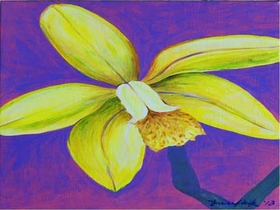 [NSP NEWS Image]UD치과 강남점 백예리 판화 작가 개인전 개최