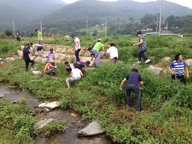 [NSP PHOTO]아산시, 실개천 자연정화활동 가져···수생태계 복원 노력