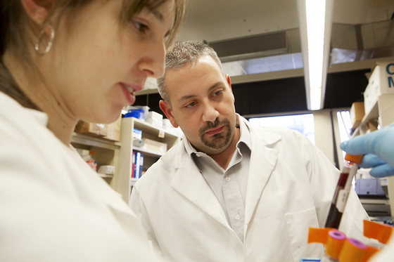 NSP통신- (코트라 제공)