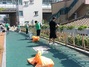 [NSP PHOTO]온양2동 새마을남·녀지도자, 꽃길 가꾸기에 구슬땀