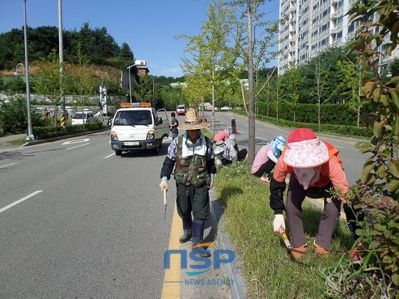 NSP통신- (아산시)