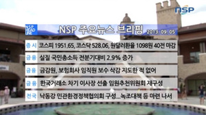 [NSP PHOTO][NSP TV] 투데이 주요뉴스 브리핑 금감원, 보험회사 임직원 보수 삭감지도한적 없어